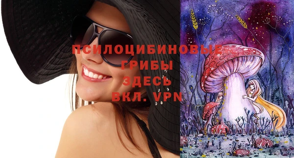 крисы Балахна