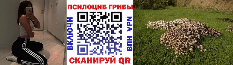 Галлюциногенные грибы Magic Shrooms  Югорск 